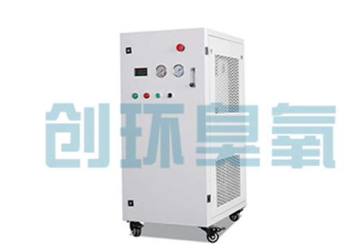 赵县石斑鱼养殖水质调控完整指南:臭氧发生器配置与操作步骤