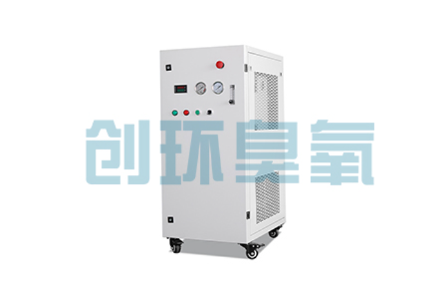 赵县比传统换水更高效?臭氧发生器在石斑鱼养殖中的水质净化原理解析