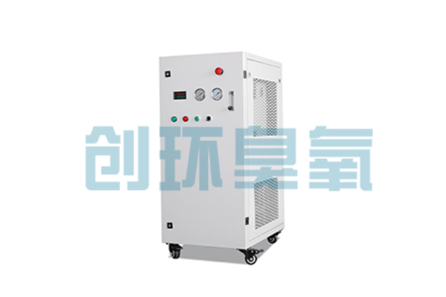 赵县比传统换水更高效?臭氧发生器在石斑鱼养殖中的水质净化原理解析